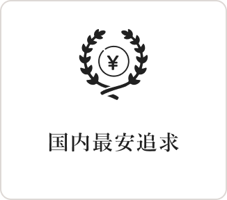 国内最安追求